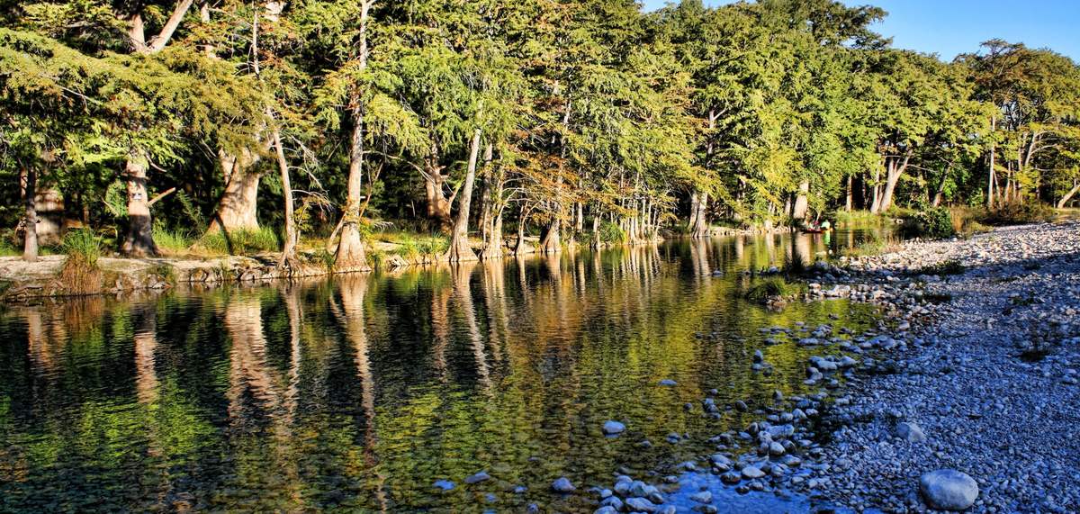 Cypress trees along a clear Hill Country river on a bright afternoon
