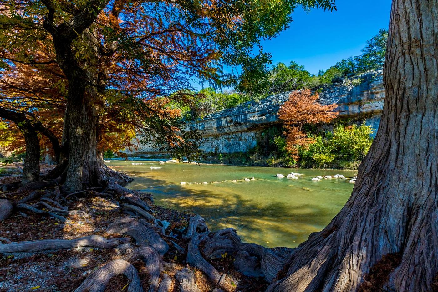 Open country in a Hill Country state park