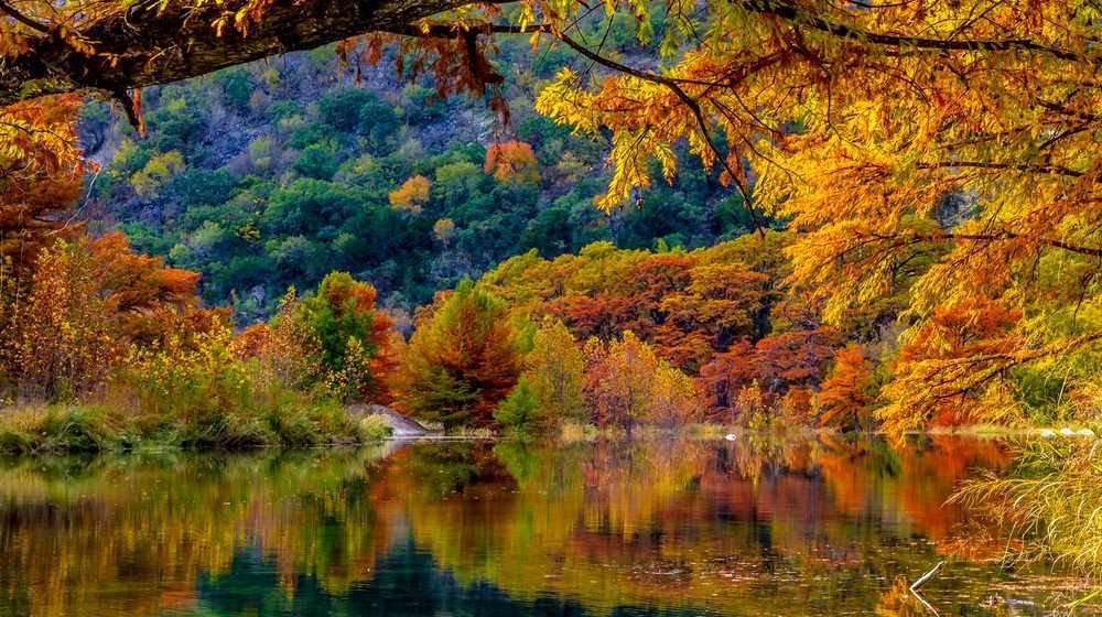 Garner