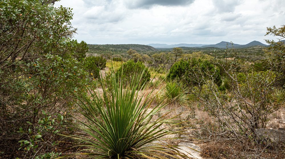 Hill Country