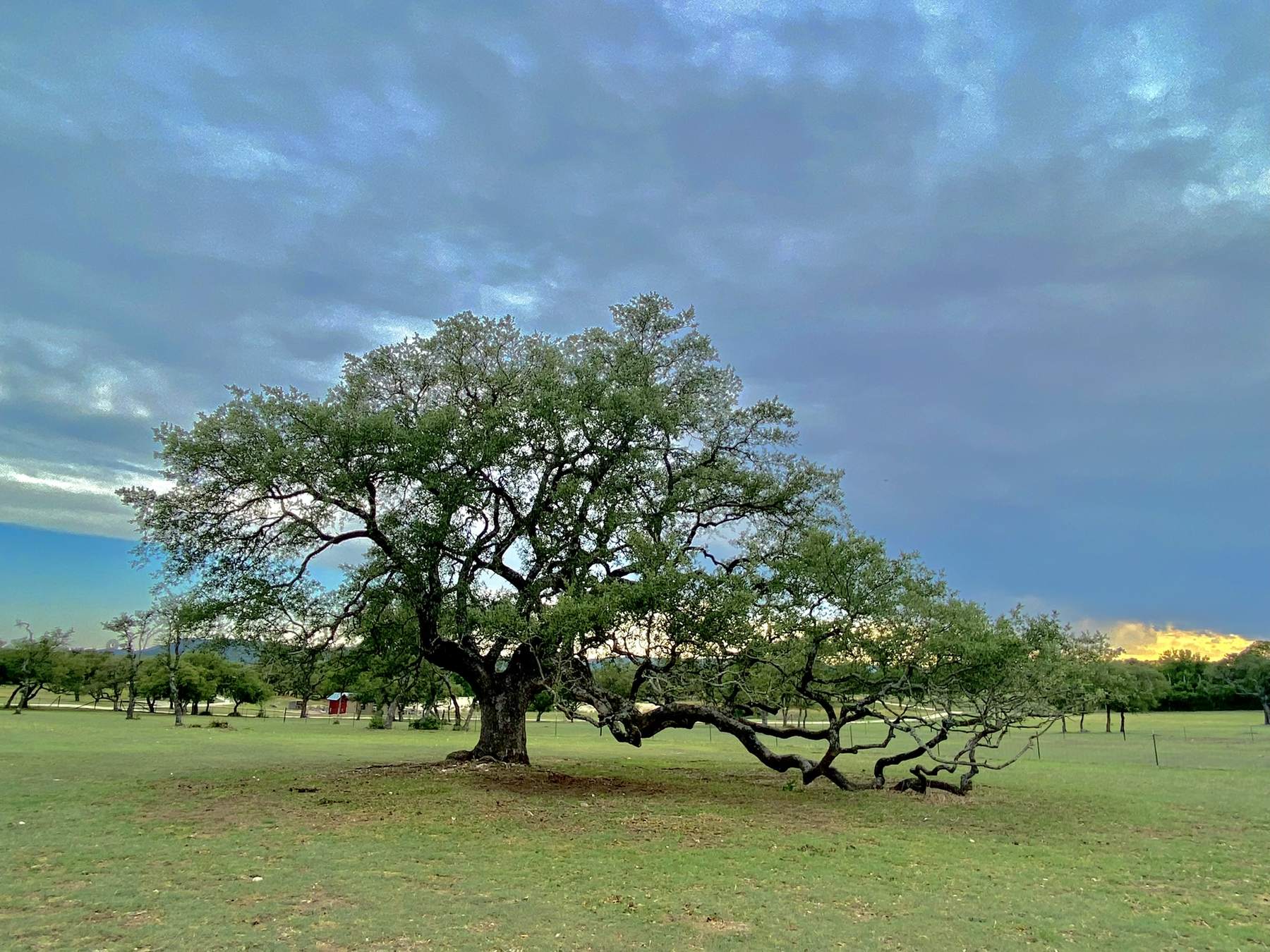 Comfort, Texas