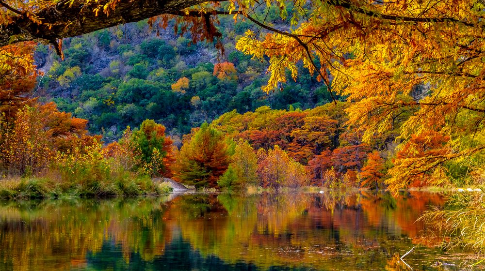 Garner
