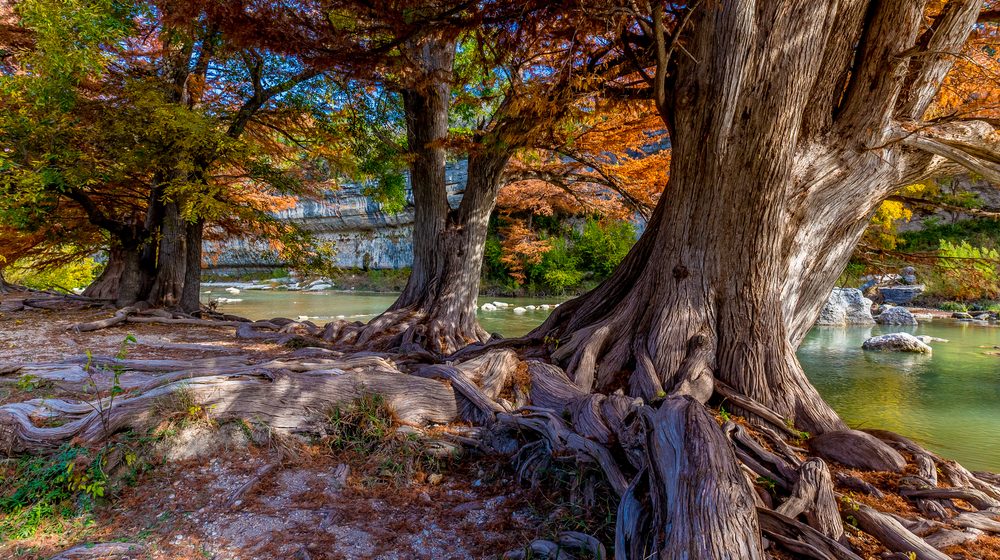 Guadalupe River