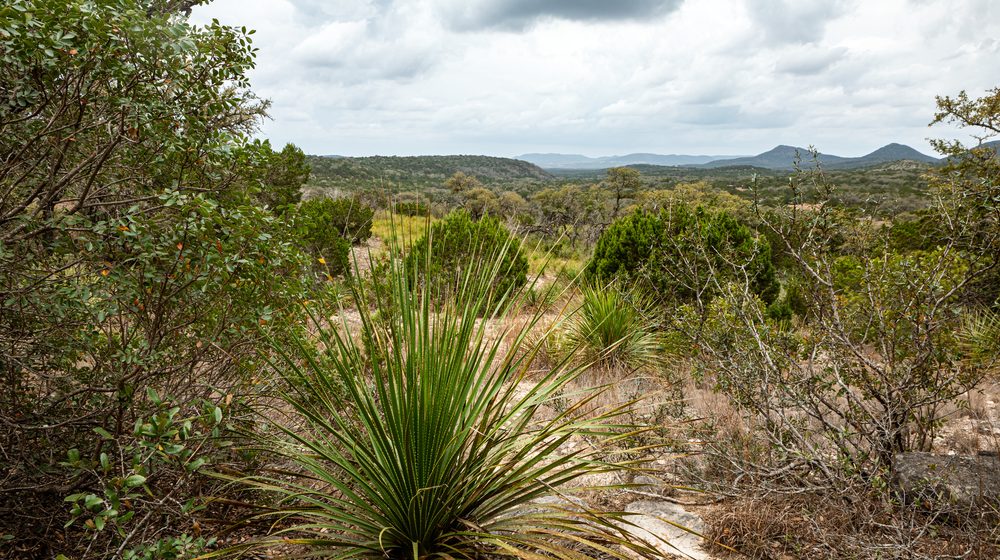 Hill Country
