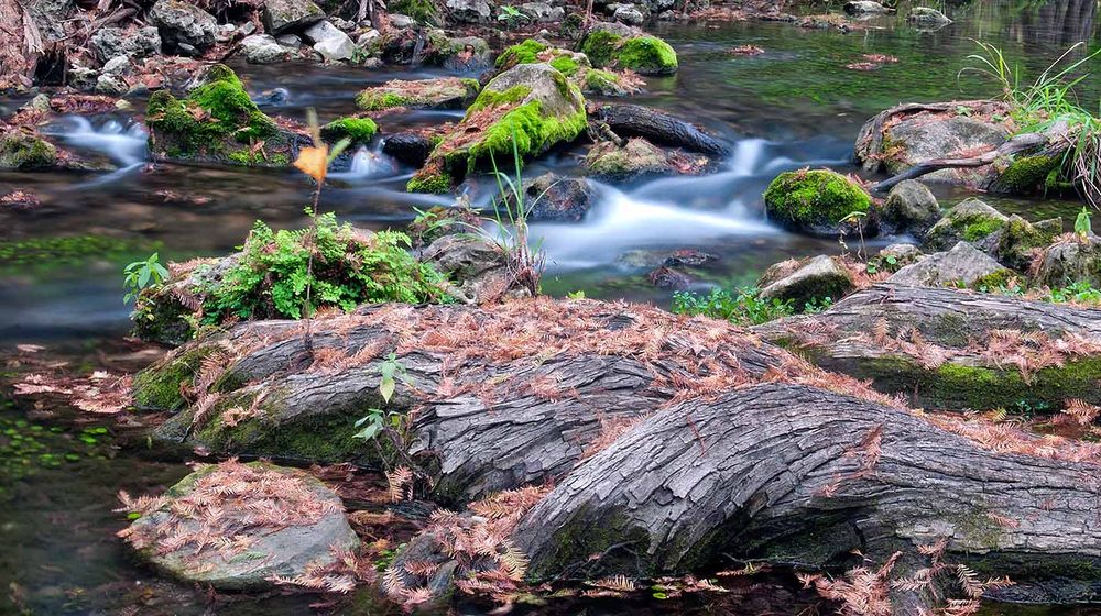 Honey Creek