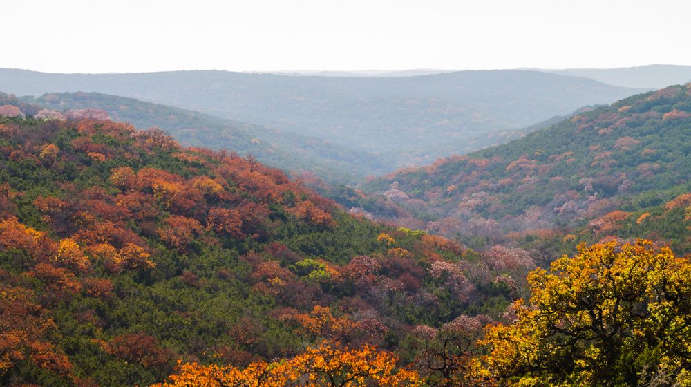 Lost Maples