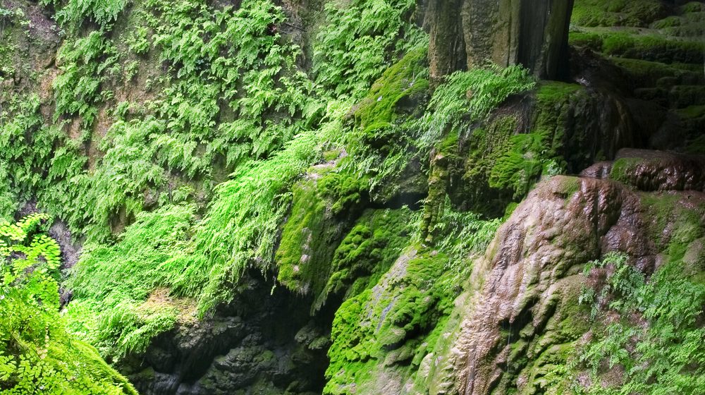 Westcave